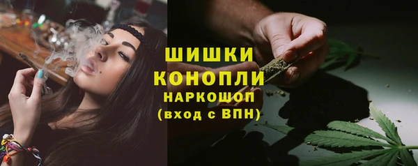 бутират Белокуриха