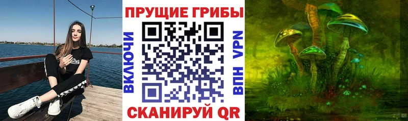 Галлюциногенные грибы Magic Shrooms  Бородино 
